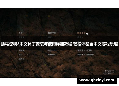 孤岛惊魂2中文补丁安装与使用详细教程 轻松体验全中文游戏乐趣