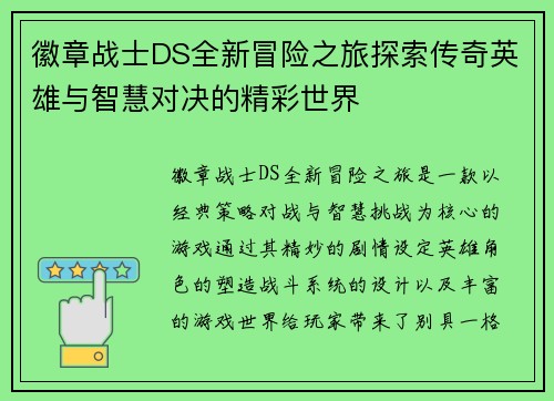 徽章战士DS全新冒险之旅探索传奇英雄与智慧对决的精彩世界